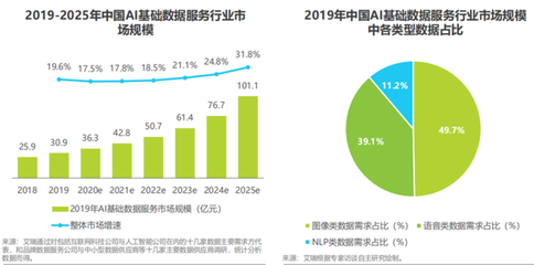新基建熱潮下，AI基礎數據服務的變革與展望——解讀2020年中國行業發展現狀與趨勢